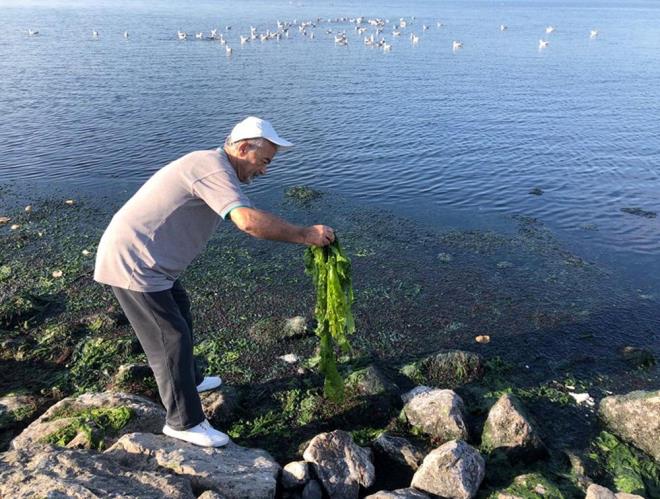 zmir Krfezi'nin yarm asrlk temel sorunlarna vurgu yapan Dr. Kesici, "Ar kirletilme nedeniyle deniz suyu kalitesindeki deiim, sediment tanmasyla oluan kelmenin neden olduu ekosistem kayb sonucu renk, koku, grnt kirliliidir. Krfezde srekli dip temizleme almalar yaplmasna ramen, kirlilii artran ky yaplarndaki deiimler, deniz marullarnn artn hzlandrmaktadr" dedi.