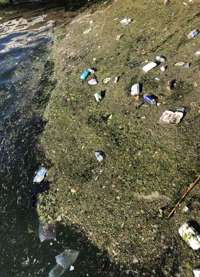 Deniz marullarn toplamann zm olmadn, bilimsel nlemler alnmad takdirde sonrasnn msilaj olduunu kaydeden Dr. Kesici, "Krfezde askda madde miktarnn artmaya devam etmesi ve azalan grnrlk, deniz marullarnn ar remesi sonucu oluan oksijen azl, hava ve suyun iyice snmasyla salyalama-msilaj sorunu ortaya karacaktr. imdiden krfezin birok kesiminde kk kmeler halinde de olsa deniz salyasna rastlanlmaktadr" dedi.