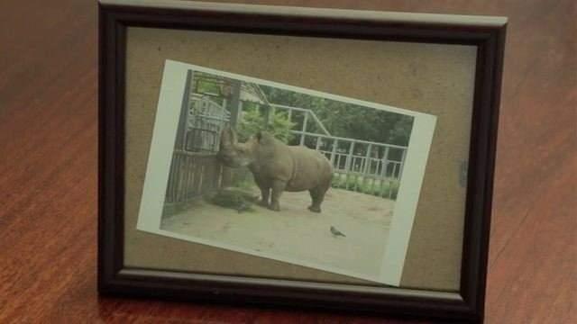 ereve iindeki fotorafnz m kayyor?