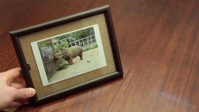 Artk fotorafnz daha salam bir ekilde ereve iinde kalacaktr.