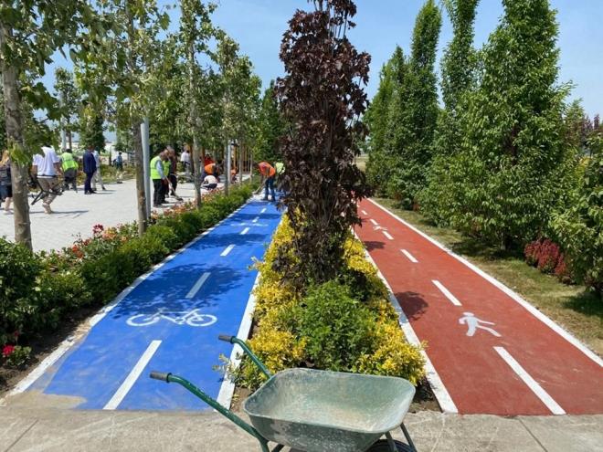 Bahede temsili bisiklet ve yry alanlar ve ardak bulunuyor. Bahede 350 yllk zeytin aac ve 40-50 ylllk aalar da yer alyor. iler fidan dikim treni iin alan temizlemeye, iekleri ve topra dzenlemeye devam ediyor. Atatrk Havaliman'na yaplacak ve 5 milyon 61 bin metrekarelik alana kurulacak olan Millet Bahesi'ne 145 bin 300 aa dikilmesi planlanyor.