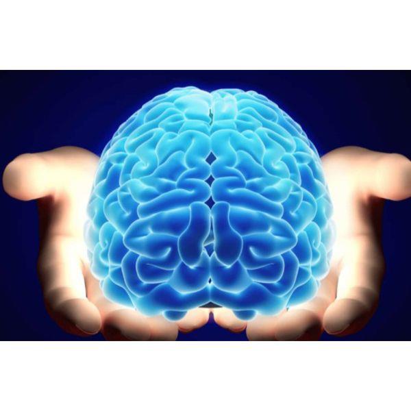 Zeisel " zellikle yaamn ilk 3 yl beyin geliimi asndan ok nemli. Bu dnemde yeterli kolin alm, beynin dzgn gelimesinin anahtar" diyerek Kolin'in nemini vurgulam oldu.