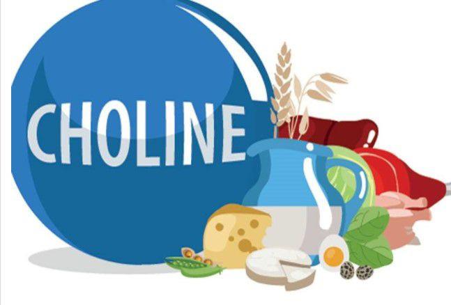 Yumurtann beyaznda deil, sarsnda yani "yolk" dediimiz ksmda bulunan Kolin beyin geliiminin anahtar olarak adlandrlyor. Yakn zamanda kefedilen zellikle hamilelik ncesi ve emzirme dneminde bebein beyin geliimini byk lde etkileyen "Kolin" hayati nem tayor. Peki bu kadar hayati bir besin neden ilk kez duyuyoruz?