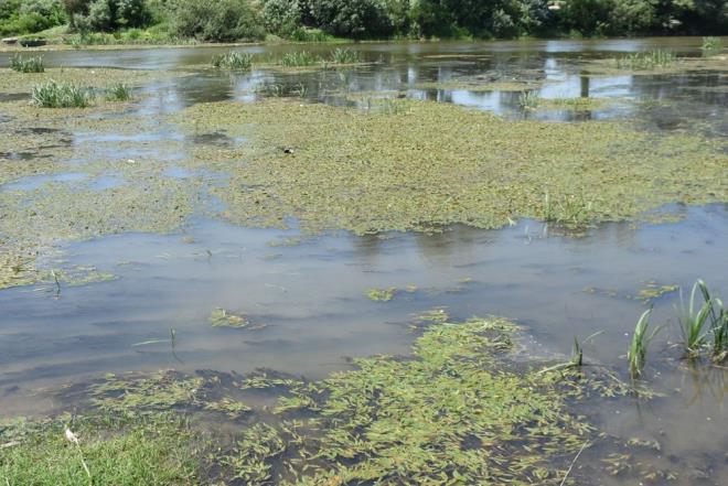 ''GEEN YILDAN DAHA DK SEVYEDE''    Tunca Nehri'nin geen yla gre daha dk seviyede aktn belirten Betl Okuyan ise yle konutu: