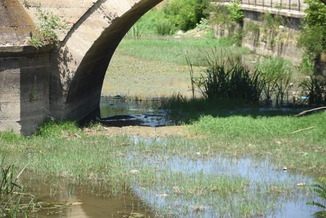 ''YAMUR YAMADI''    Edirne'de su olmad zaman tarmn da olmayacan syleyen nan Demir, "Pandemide debisi iyi akyordu. Ama u anda kuraklk olmu. Yamur yamad. Otlar da, su maymunlar da ok var'' dedi.
