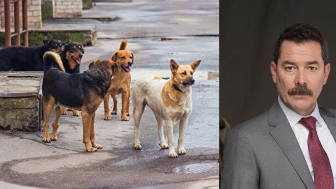 Ekranlarn usta oyuncusu Fikret Kukan'n sokak kpekleri yznden komusuyla ba dertte! Mahallede huzurun kalmadn dile getiren Kukan' komusu " Seni kpeklere paralatrm" diyerek tehdit etti.