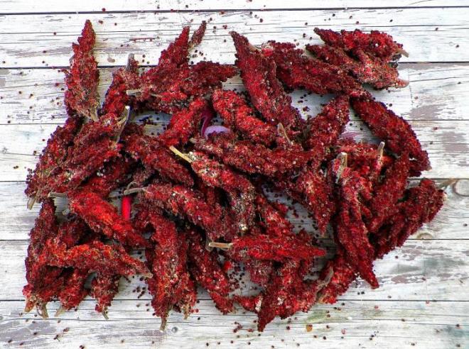 Genellikle ay yaplan sumak, st solunum yollarna balgam nedeniyle etkilenen boazn balgam atmasnda yardmc olur.     Virs nedeniyle artan vcut scakl dengelemek iin fayda salar.          Deforme olmu sinirleri yenilemek iin sumak suyu tketimi tavsiye edilir.