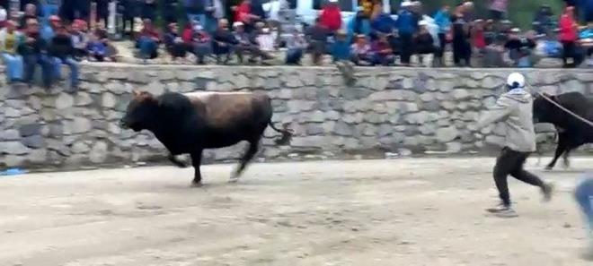 50 boa arenada greti, vatandalar ilgiyle izledi.