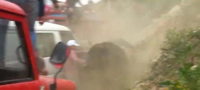 Boalar bir sre sonra sahipleri tarafndan yakalanarak ahrlarna gtrld.