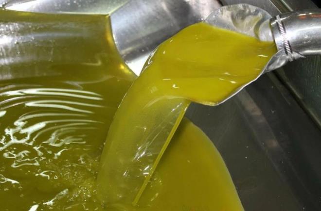 Son yllarda dnyada pandemilere yol aan virslerin says giderek artarken bilim insanlar bu hastalklara kar en salam korumann doal besinler olduunu vurgulad.