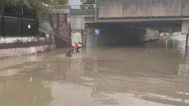Caddede ilerlemek isteyen bisikletli ile bir kadnn zor anlarn AA muhabiri grntledi.