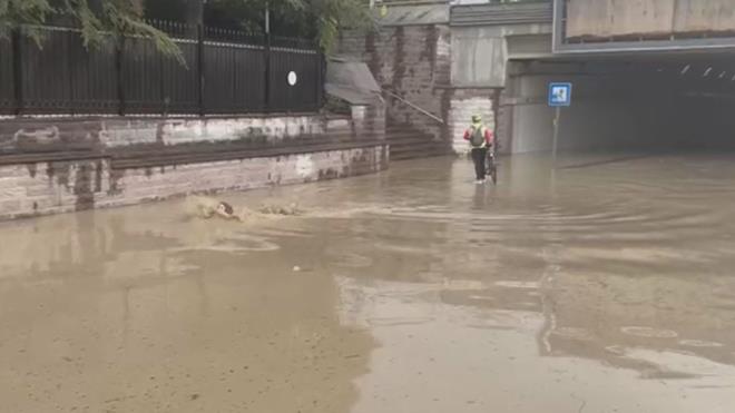 Ksa sre sonra zorlukla ayaa kalkan kadn, suyla kapl yolda yrmeye alrken bir kez daha dt.