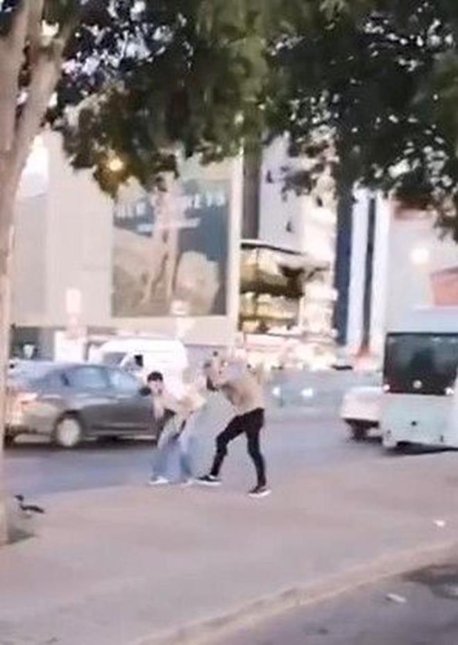 Rhtm Caddesi'nde bir karga yavrusu yuvasndan dt.