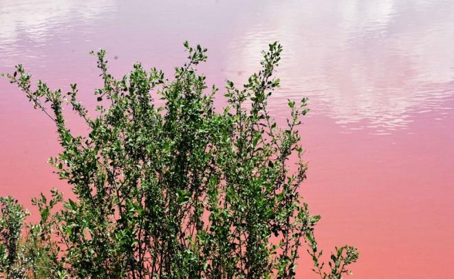 Kzlrmak'taki deiim, dronla havadan da grntlendi.