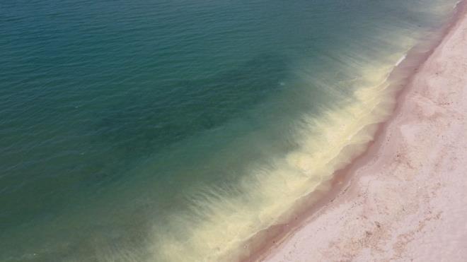 Sahil eridini kaplayan ve kirlilik oluturan msilaj benzeri grntler zerine Bartn evre, ehircilik ve klim l Mdrl ekiplerince renk deiimlerinin youn olarak grld noktalardan alnan numuneler analizi yaplmak zere TBTAK-Marmara Aratrma Merkezi'ne gnderildi.