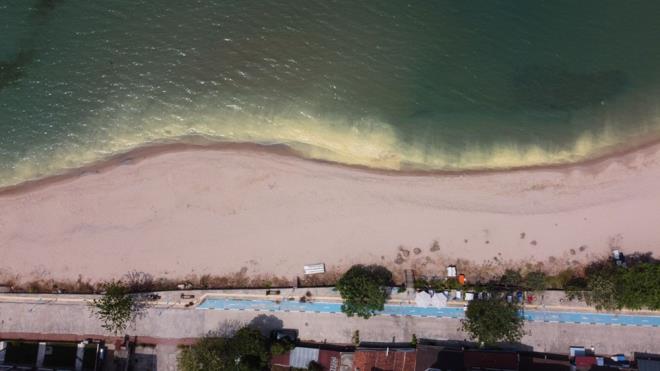 Yaplan incelemeler sonucunda deniz yzeyindeki renk deiiminin polen kaynakl olduu tespit edildi.