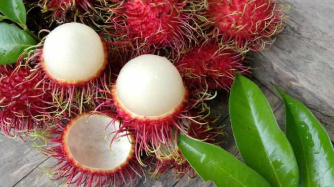 * RAMBUTAN    Virs gibi bir grnts olan rambutan lezzetli bir tropik meyvedir. Tatl oran yksek olmasan ramen diyabet hastalar bile kolaylkla tketebilir.