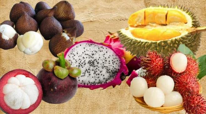 Dnyann birok yerinde birbirinden farkl besinler vardr. Her iklimin kendine has zelliklerde olan bu meyve trlerinin ierdikleri vitamin ve mineraller sayesinde ila sektrnn vazgeilmezleri arasnda yer alyor. Grntleri farkl meyveleri de andran bu besinlerden en dikkat ekenleri sizler iin bir araya getirdik.  <br>  DNYANIN EN LGN MEYVELER VE FAYDALARI NELERDR?