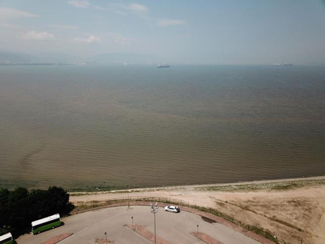 Ergl szlerine u ekilde devam etti:  <br>  "Algler deniz iekli bitkileri gibi balklarn yumurta brakma iin tercih ettikleri habitatlar oluamyor. Bu girdilerin olduu yerlerde doal olarak deniz kular beslenme ortam olarak baka blgeleri tercih ediyor. amurun akt blgede belediye tarafndan bir rehabilitasyon almas ve Hali'te olduu gibi bir dip taramas projesi yaplaca belirtilmiti. Yeter ki yaplsn. Krfez gibi dnya incisi bir yeri kurtaralm.?