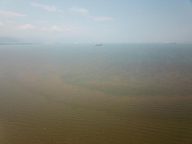 Kocaeli niversitesi Fen Edebiyat Fakltesi Biyoloji Blm?nde grevli Prof. Dr. Halim Aytekin Ergl, krfezin dou ksmnda bulunan kularn barnd sulak alann amurlu sudan etkilendiini kaydetti.