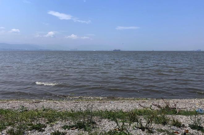 Kocaeli'de son gnlerde aralklarla etkili olan yalar sonras derelerin dkld zmit Krfezi'nin rengi deiti.