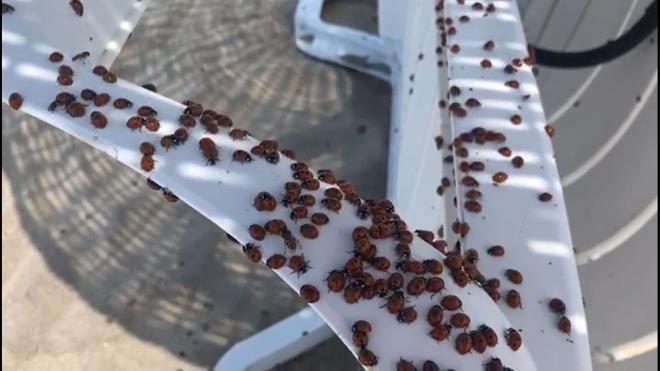 Sz konusu blgede daha nce de benzer durum yaanmt.