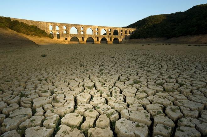 lleme tehdidinin yol at sorunlar ve buna kar yrtlen mcadeleye dikkati ekmek iin 1994'ten bu yana her 17 Haziran, BM kararyla "Dnya lleme ve Kuraklkla Mcadele Gn" olarak kutlanyor.