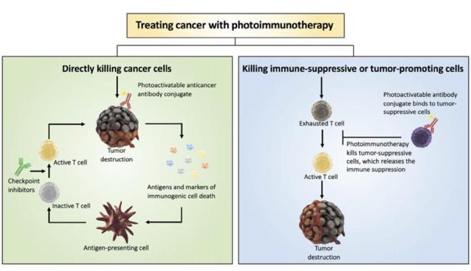 Y�NTEM NASIL UYGULANIYOR?    �al��man�n yazarlar�, yeni tedavide �zel bir floresan boyan�n kanseri hedefleyen kimyasal bir maddeyle birle�tirildi�i a��klad�.