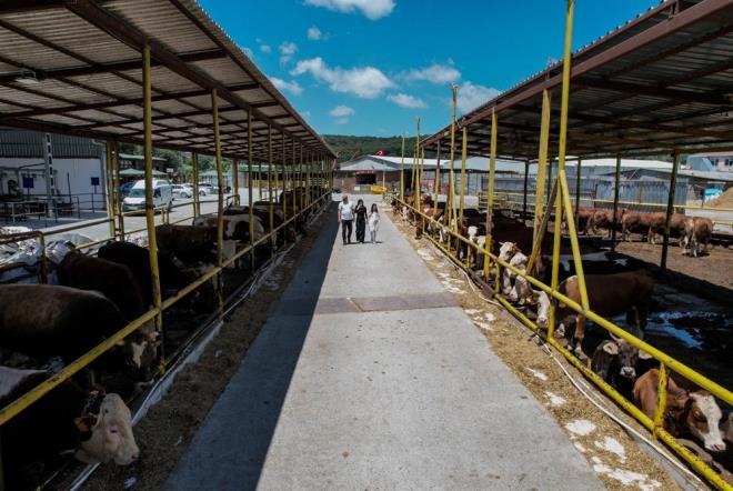 Kurban Bayram� i�in �stanbul?da haz�rl�klar yap�lmaya devam ediyor.