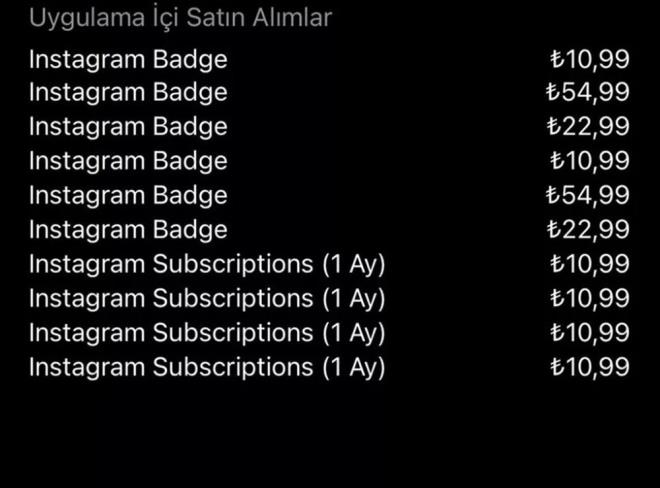 lk olarak snrl sayda kullanc ile denemeleri gerekletirilecek olan abonelik zelliinin fiyat 10.99 TL ile 54.99 TL aralnda deiirken, uygulamann yurtd bedeli ise 0,99 dolar olacak.