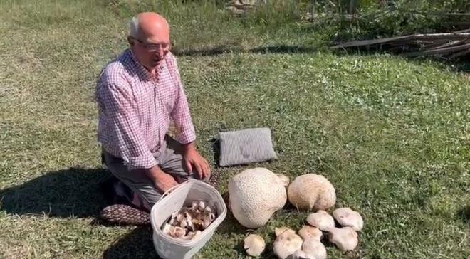 Bulduklarndan bir ksmn kye getiren Adgzel, en byn tarttnda 15 kilogram olduunu belirledi.