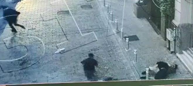 Beyolu'ndaki pitbullu gasplar yakaland - 5  PTBULL LE KORKUTTULAR    phelilerden biri elindeki pitbull cinsi kpekle Demirkafa'y korkutmaya alt. 3 gasp pitbulla korkuttuklar Mert Demirkafa'nn cebindeki bir miktar paras ve telefonunu alarak kayplara kart.    Demirkafa yaad olayn ardndan polise giderek ikayeti oldu. ikayet zerine konuyla ilgili inceleme yapan polis, evredeki gvenlik kameralarn inceledi.