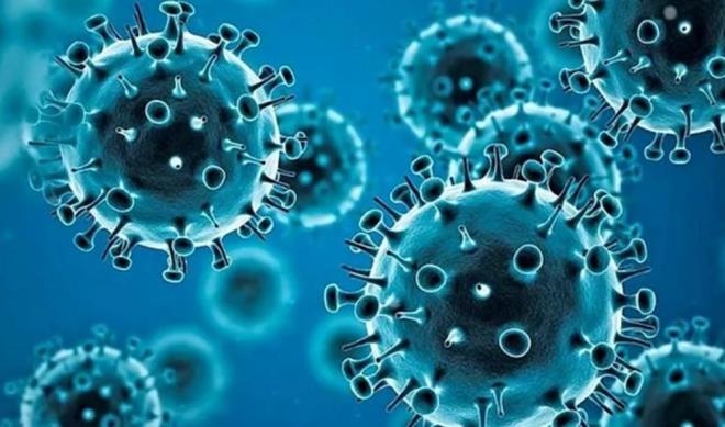 Swaminathan, ?Bu, virsn insan hcrelerine balanan kilit paras olduundan, davrann izlememiz gerekiyor. Ancak alt varyantn ek baklk istilas zelliklerine sahip olup olmadn veya klinik olarak daha iddetli olup olmadn sylemek iin henz ok erken" dedi.