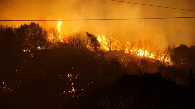 zmir'in eme ilesinde otluk alanda kan yangn kontrol altna alnd.