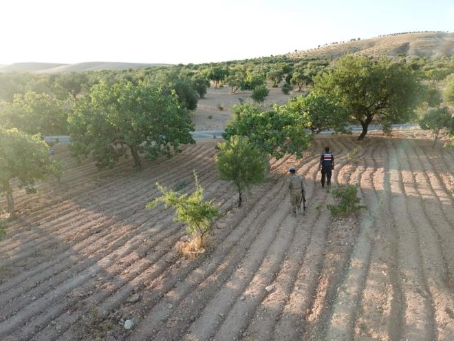 Ayrca, tarlalarda ve yollarda fstk reticileri ile koordineli olarak srekli devriye faaliyeti yrtecek ekipler grevlendirildi.