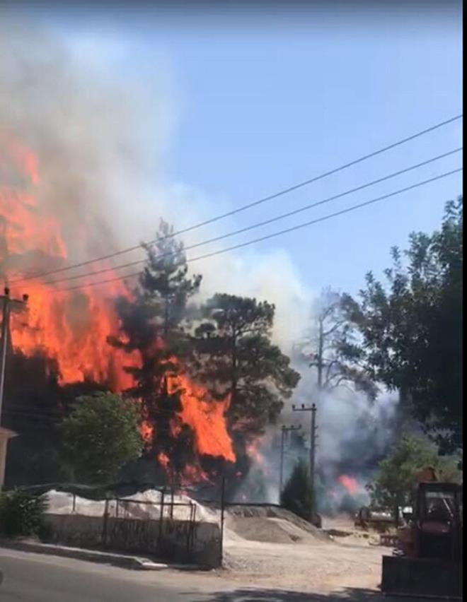meler Turun mevkisinde ormanlk alanda saat 15.40 sralarnda henz belirlenemeyen nedenle yangn balad. Alevler rzgarn da etkisiyle ksa srede yayld.