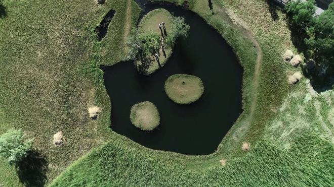 Bingl'n Solhan ilesindeki Turnalar Gl risk altnda.     Uzmanlara gre, ziyaretilerin adalarn zerine kmak iin kulland sopalar, doal yapda bozulmalara yol aabilir.