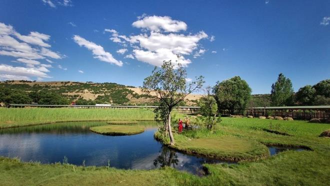 Ailesiyle Almanya'dan yzen adalar grmeye gelen Kutbettin Demir, "Aslen Cizreliyim. Memleketime gitmek isterken yol zerinde yzen adalar eim ve ocuklarmla birlikte grmek istedik. Gerekten doa harikas bir yer" diye konutu.