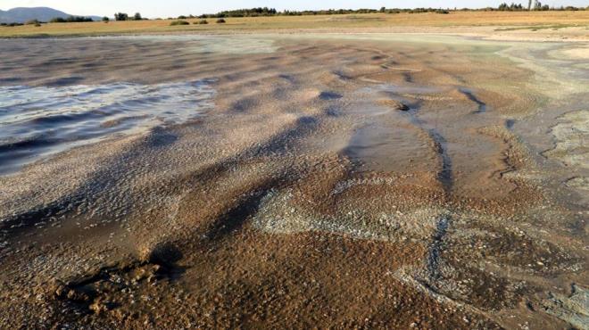 Uzmanlara gre farkl organizmalarn gelimesi gldeki durumun ktye gittiini gsteriyor. nlem alnmazsa gl tamamen kuruyabilir.