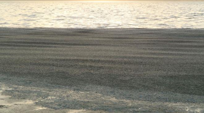 Mehmet Akif Ersoy niversitesi (MAK) Biyoloji Blm retim yesi Prof. Dr. skender Glle, bu durumun nedenlerini u ekilde sralad:    "Bunun en nemli nedenlerinden ilki, gln su scaklnn artm olmasdr ki en son lmlerime gre yzey suyu scakl 26 derece civarndadr. kincisi ise rzgarlarn durmas nedeniyle son 3-4 gndr gln ok sakin olmas. Dalgalarn ve rzgarlarn kesilmesiyle bu organizmalarn derinliklerdeki karm bitiyor.