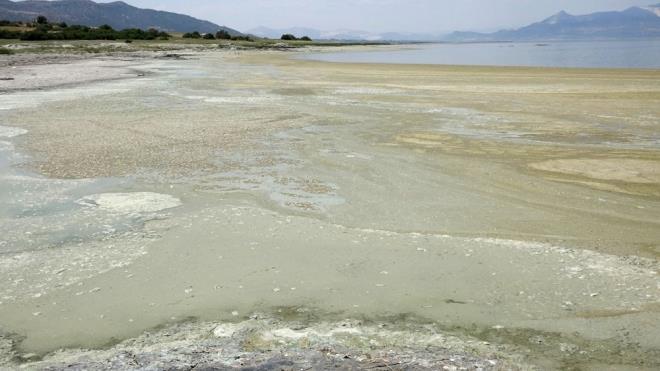 Yalarn azl, kaak sondajlar ve buharlama suyun ekilmesine neden olan faktrler arasnda.    Gln yzeyi getiimiz haftalarda yeil alg tabakasyla kapland, tabakann rengi zamanla koyulat.
