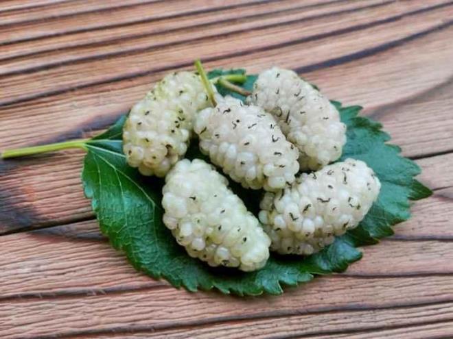 Bu durumlarn nne gemek iin uzmanlar mevsiminde insan saln faydas olan besinlerin tketilmesini iddetle tavsiye eder.