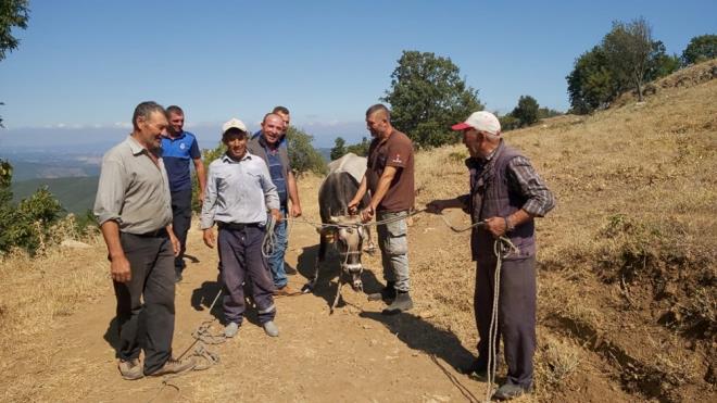 Hayvan kaan Kocabyk, danay hafta sonu olunun snnet dnnde keseceini ifade etti.