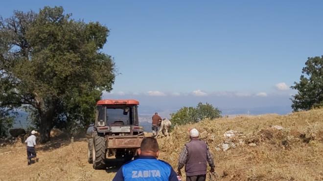 Kepsut Belediyesine haber verildikten sonra zabta ve kyller hayvan yakalad.