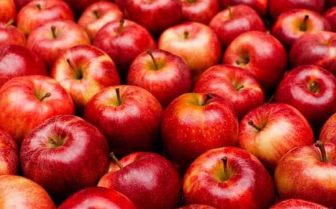 ELMA    Yksek miktarda lif barndran elma barsaklar iin en doal besindir. Ayrca uzun sreli tok tutar.