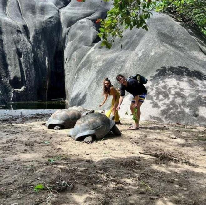 Sosyal medyada aktif olan ift balaynda ekilmi fotoraflar Instagram'da da yaynlamay ihmal etmediler. nl iftin evlenmeden nce en ok nerede yaayacaklar merak ediliyordu.