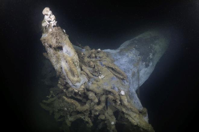 "BU ACI HEP TAZE"    "Batk ehrin" derinliklerinde sessizliin hakim olduunu, kamerasyla ekim yaparken binlerce insann yaamn yitirdii ac dolu gnlere geri dndn syleyen Ceylan, "Aradan 23 yl gemesine ramen bu ac hep taze. Burada bir hayat son bulurken yeni bir yaamn da balam olduunu gryoruz. Depremde sular altnda kalan bu blge canl poplasyonu asndan olduka zengin. Bu da bizim buradaki tesellimiz. Doal bir resife dnen blge dalseverlerin gzdesi konumunda." diye konutu.