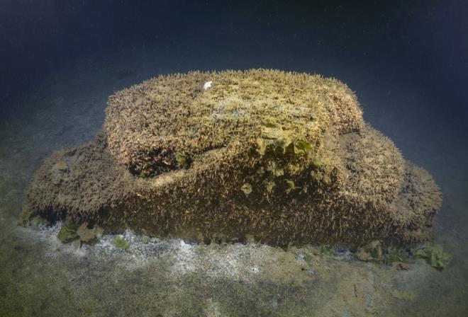 Su altnda ahit olduu grntlere deinen Kulaka unlar syledi: