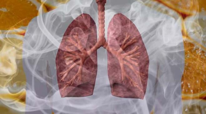 Son yllarda artan sigara tketimi sonras yaanan hastalklarn nne gemek iin uzmanlar vcutta nikotin birikiminin olmamas gerektii konusunda uyard. Uzun sre nikotinin vcutta kalmasnn hastalklara davetiye kartacan syleyen uzmanlar ancak dzenli tketilen baz besinlerin nikotini vcuttan atlmasn saladn aklad. Nikotin vcutta ne kadar kalr? Vcuttan nikotini atan besinler nelerdir?