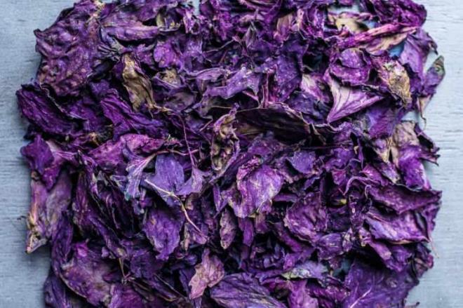 Karacier ve akcierlerdeki toksinleri atarak yenilenmelerini salar.